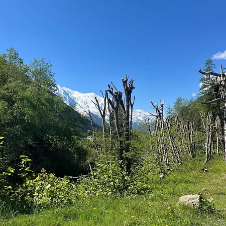 Duplex In Argentiere Valley * Chamonix